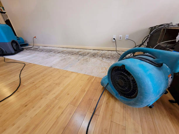 Professional Water Damage Repair technician working in Hammond, LA